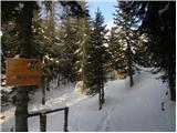 Planina Zajavornik - Vrh Razora